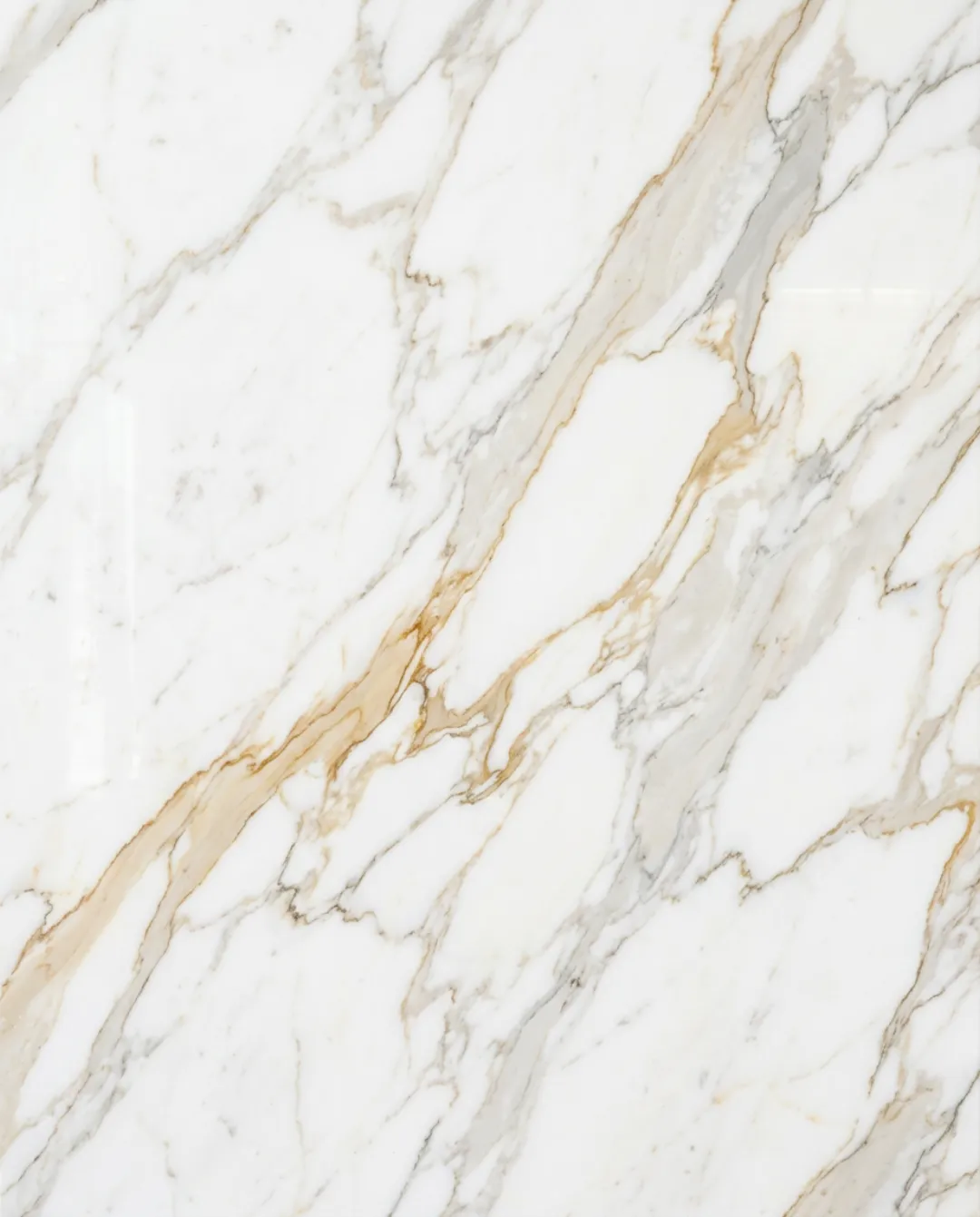 Calacatta Gold marble slab at ARCA Luxury Stone Miami