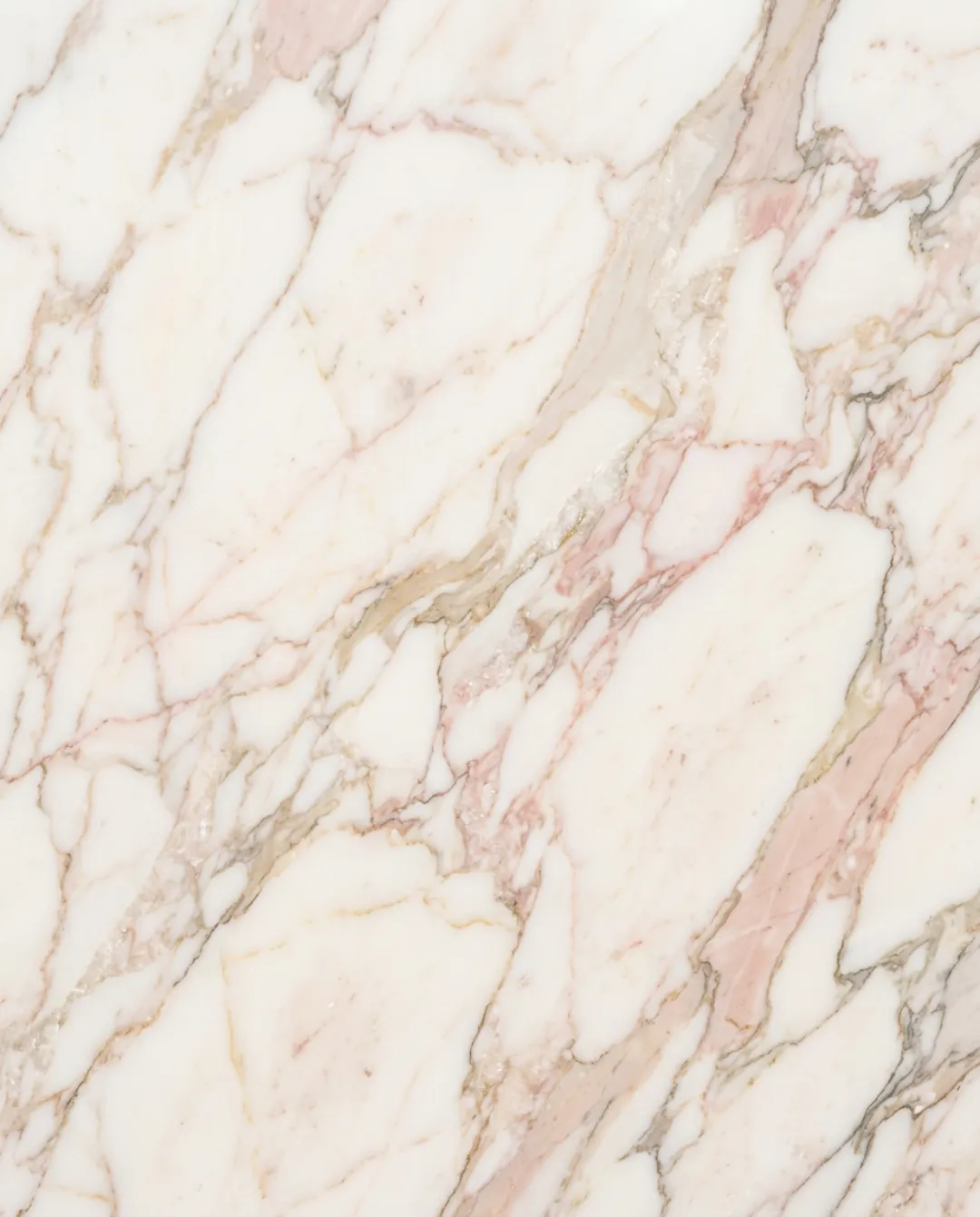 Calacatta Rosato marble slab at ARCA Luxury Stone Miami