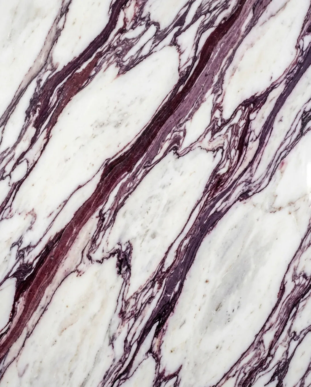 Calacatta Viola marble slab at ARCA Luxury Stone Miami