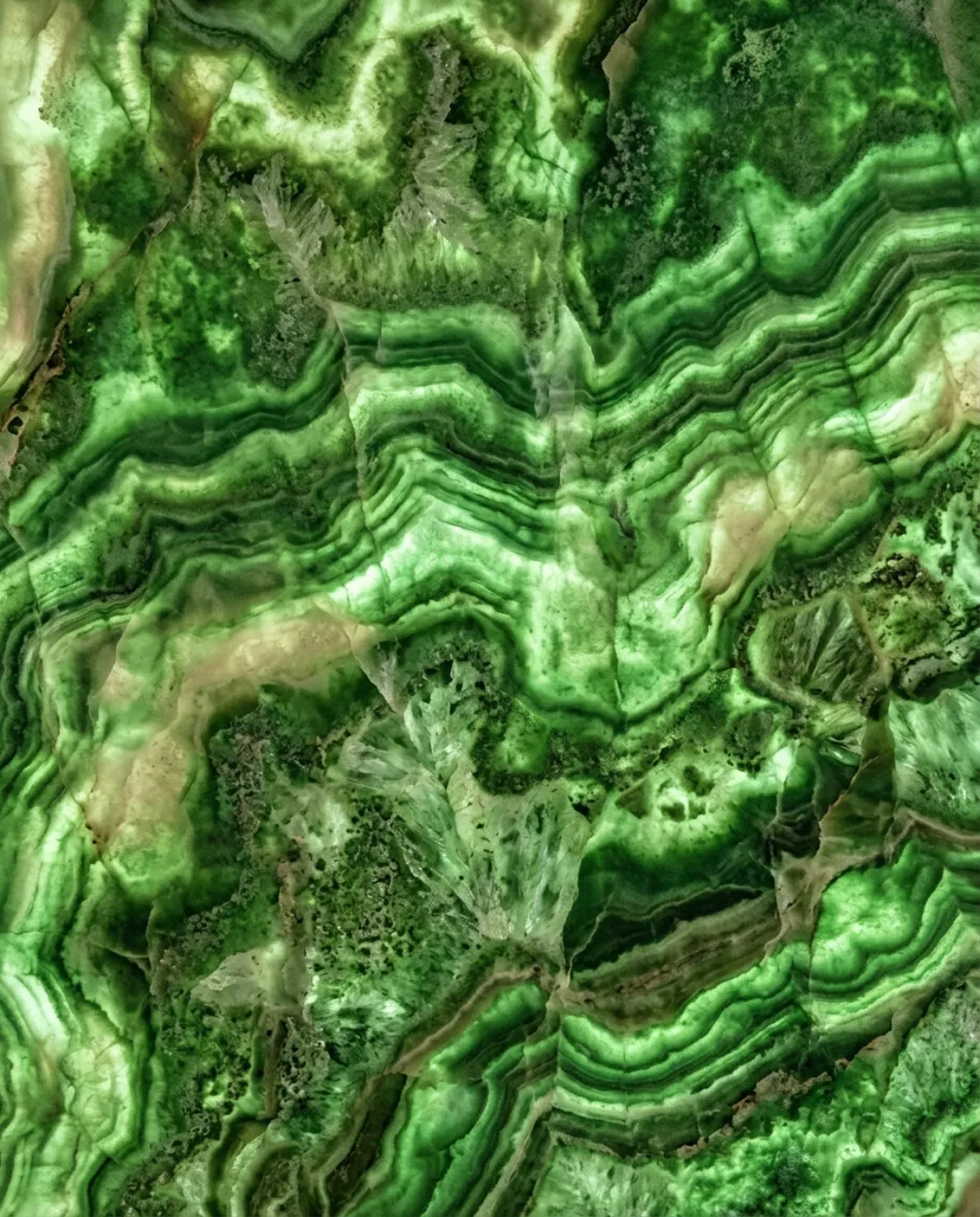 Jade Onyx onyx slab at ARCA Luxury Stone Miami